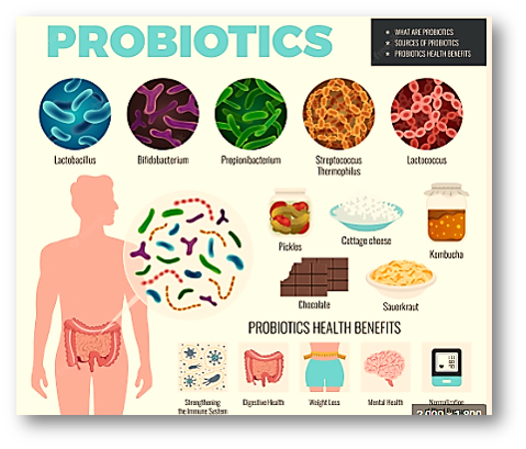 probiotic 