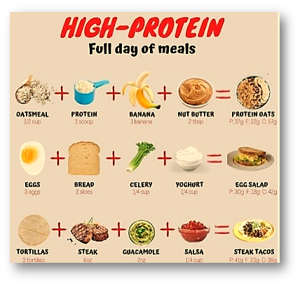 protein diet