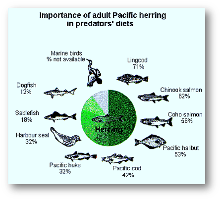 fisheries depletion