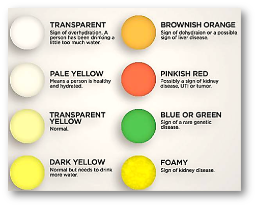 urine color